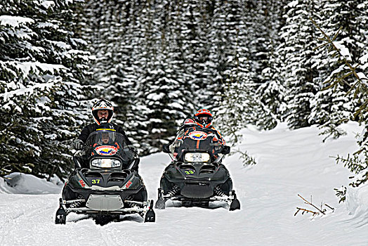 家庭,雪上汽车,白天,太阳,顶峰,滑雪胜地,北方,不列颠哥伦比亚省,加拿大