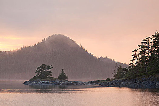海峡,岛屿,背景,乡村,不列颠哥伦比亚省,加拿大