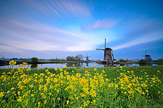 风车,框架,黄花,特色,运河,黎明,小孩堤防风车村,荷兰南部,荷兰,欧洲