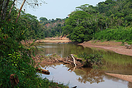 死水,塔博帕塔河,亚马逊雨林,亚马逊河,秘鲁,南美