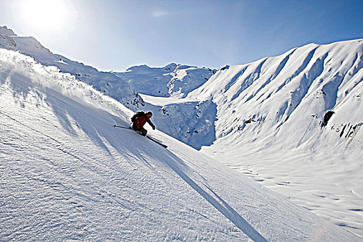 下坡,滑雪者,不列颠哥伦比亚省,加拿大