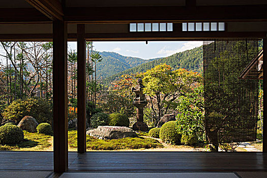 风景,室内,日本寺庙,上方,花园,京都,日本