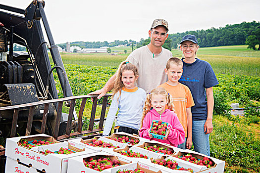 家庭,草莓,农场,参加,挑选,宾夕法尼亚,美国