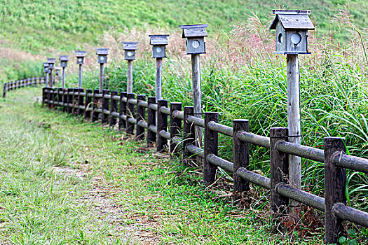 日本,奈良县,高原,木质,灯笼,栅栏,画廊