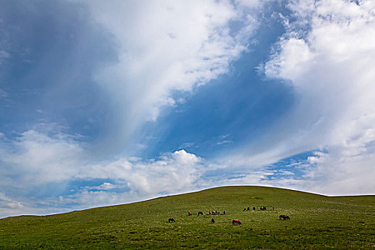 山丹祁连山军马场美景