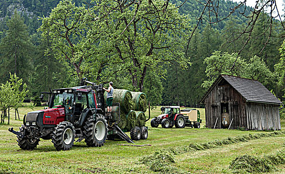 拖拉机,干草,干草收割,上奥地利州,奥地利,欧洲