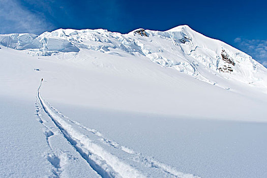 滑雪者,去皮,小路,头部,冰河,仰视,攀升,阿拉斯加山脉,冬天,阿拉斯加