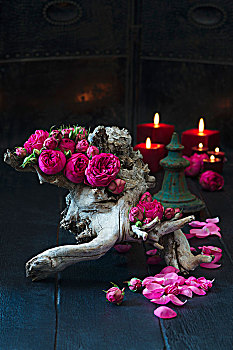 粉色,一对,玫瑰,扭曲,根,木头,蜡烛,背景