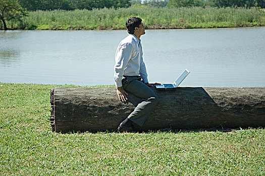 商务人士,坐在树上,树干,笔记本电脑,看别处