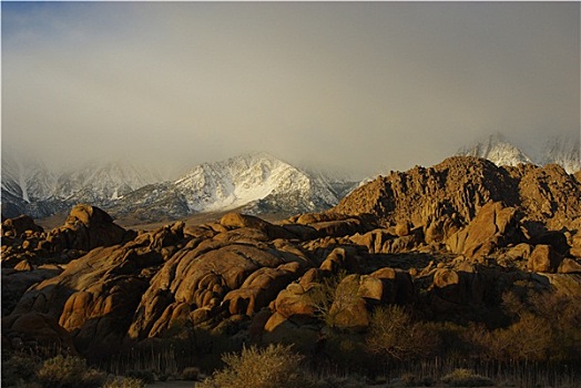 太阳,雾,早晨,阿拉巴马山丘,雪,内华达山脉
