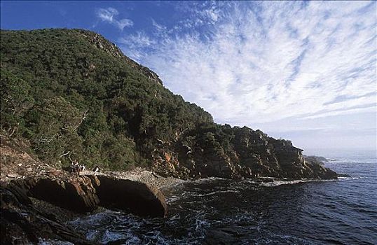 海岸,国家公园,西海角,共和国,南非