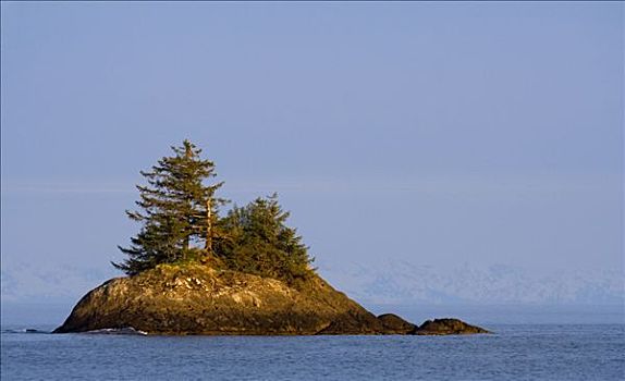 岩石,岛屿,太平洋海岸,楚加奇国家森林,威廉王子湾,阿拉斯加,美国