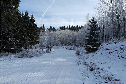 冬天,哈尔茨山