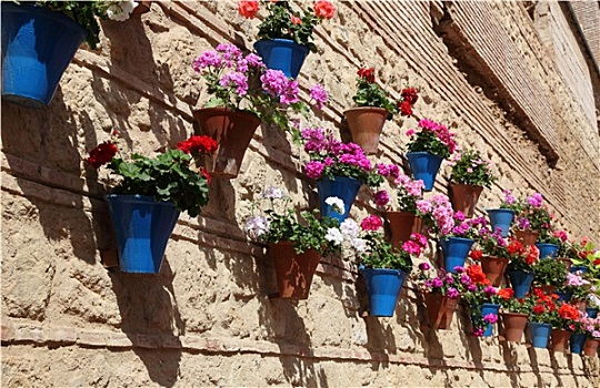 房子,装饰,花盆,科多巴,安达卢西亚,西班牙