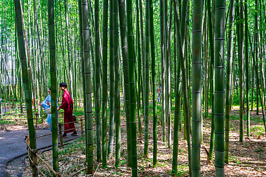 游客穿着和服游览日本京都嵯峨野岚山竹林