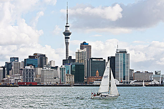 城市,新西兰