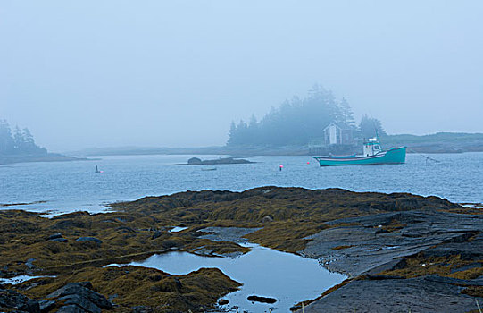 加拿大,蓝色,石头,新斯科舍省,雾,浓厚,雾状,船,捕鱼,房子,小,乡村