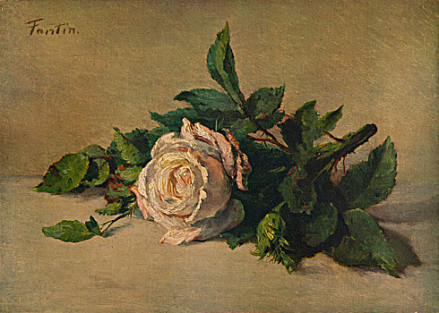 白色蔷薇,艺术家
