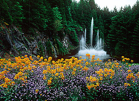 宝翠花园,喷泉,牡丹,维多利亚,温哥华岛,不列颠哥伦比亚省,加拿大