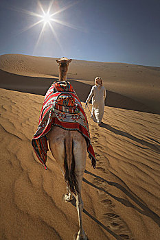 后视图,贝多因人,骆驼,沙漠,迪拜,阿联酋