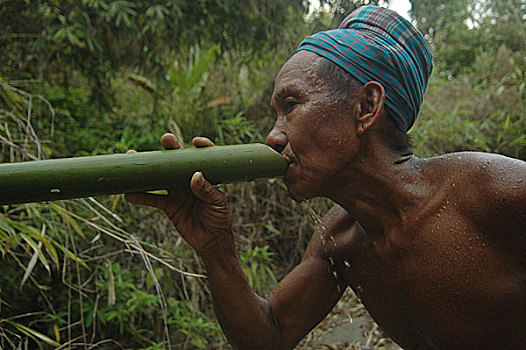 部族,水,山,丛林,孟加拉,四月,2007年