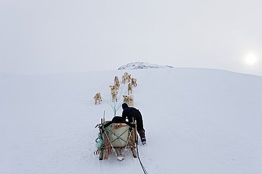 狗拉雪橇,格陵兰