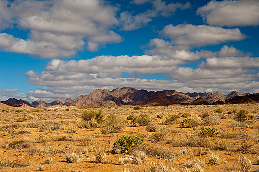蓝天,白云,上方,山地,荒漠景观,里希特斯韦德,国家公园,北开普,南非,非洲