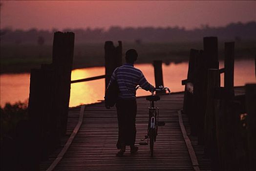 缅甸,曼德勒,骑自行车,穿过,日落