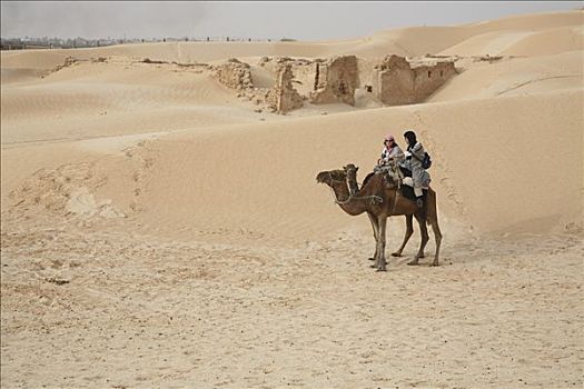骑骆驼,撒哈拉沙漠,杜兹,突尼斯