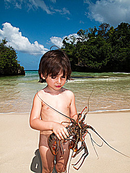 3岁,欧亚混血,男孩,拿着,生活方式,龙虾,海滩