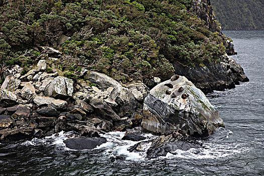 米弗峡湾