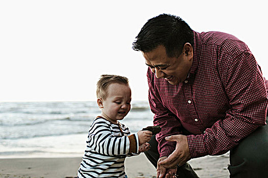 父亲,海滩,男婴,看,石头