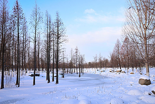 雪景