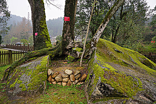 井冈山,纪念馆