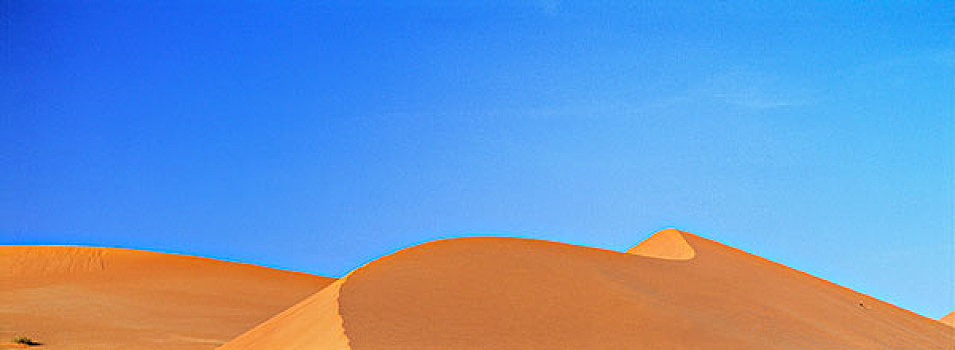 沙丘,擦,阿联酋