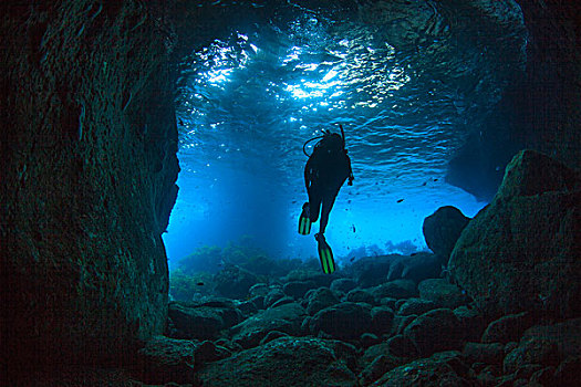 潜水,游泳,海洋,洞穴,靠近,穷,岛屿,北岛,新西兰