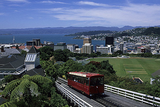 新西兰,惠灵顿,俯视,城市,缆车