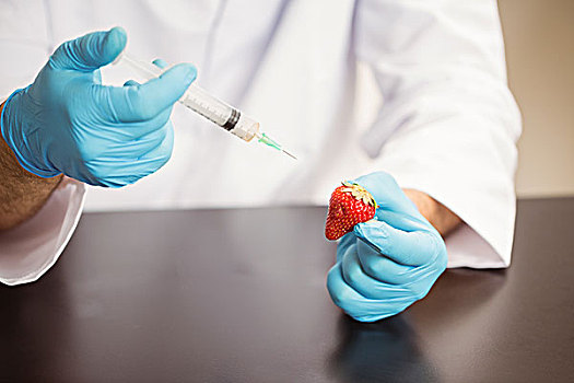 食物,科学家,注射,草莓