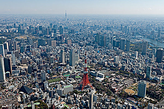 东京,天空,树,东京塔