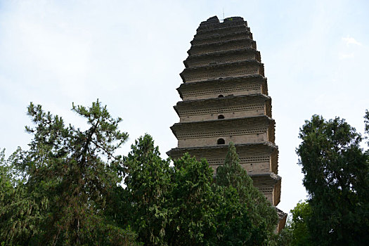 小雁塔,荐福寺,西安博物院