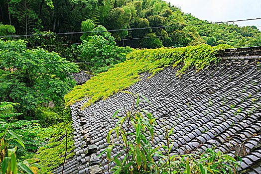 鄞州,横溪镇,俞山古村,山村,老房子,古建筑