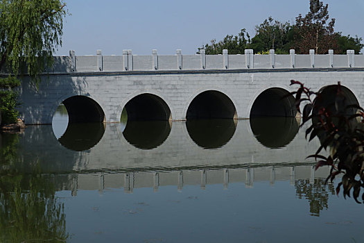 夏季景色