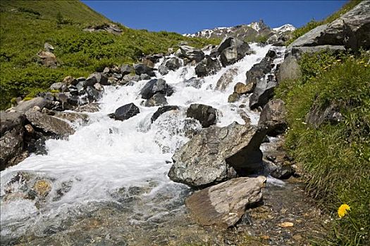 山川,布鲁克山,高,高山,道路,国家公园,陶安,卡林西亚,奥地利