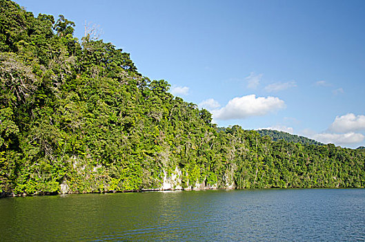 危地马拉,国家公园,可爱,河,加勒比海,湖,进入,印象深刻,峡谷