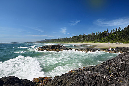 太平洋,岸边,绿色,海滩,大,海啸,环太平洋国家公园,自然保护区,温哥华岛,不列颠哥伦比亚省,加拿大,北美