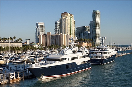 奢华,游艇,迈阿密海滩,码头,佛罗里达,美国