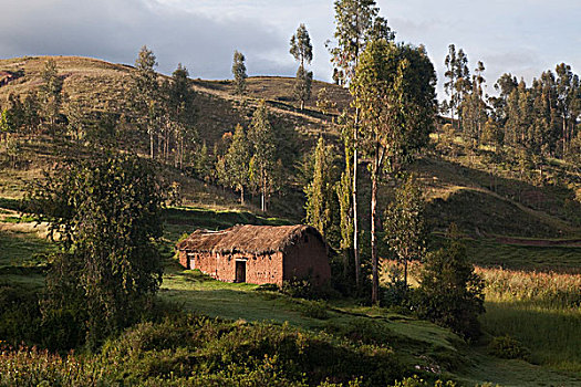 南美,秘鲁,茅草屋顶,房子,乡村,世界遗产