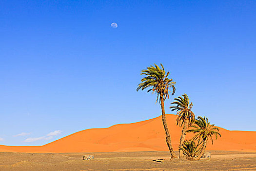满月,却比沙丘,摩洛哥