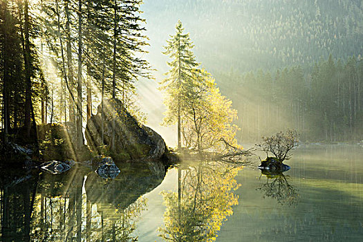 湖,水,影象,光线,树,秋天,雾,气氛