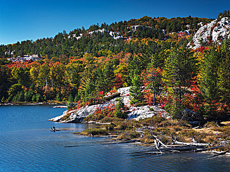 漂亮,秋天,自然风光,湖,基拉尼省立公园,安大略省,加拿大